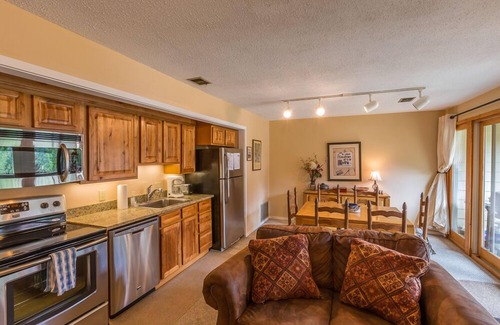 Crested Butte Copropriété | Great condo within walking distance to the slopes and the free shuttle bus!