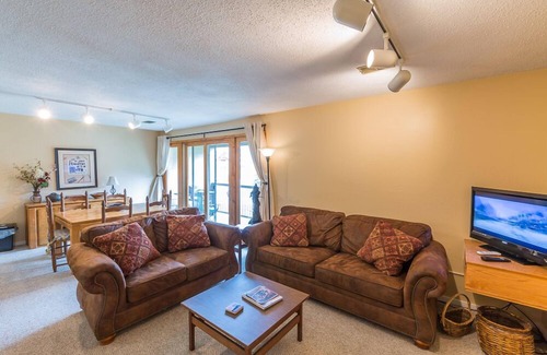 Crested Butte Copropriété | Great condo within walking distance to the slopes and the free shuttle bus!