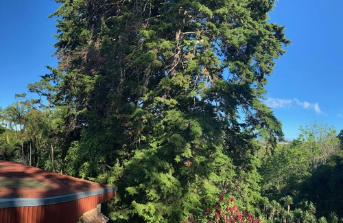 Roble Appartement | Great view of the mountains while in San Jose.