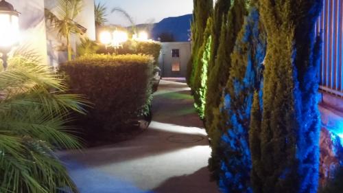 Ma'ayan Baruch Cabine | Greek Relaxation