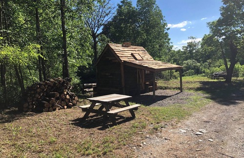 Town of Sempronius Cabine | Green Acres Cabin at Turn Back Time - Reconnect with Nature