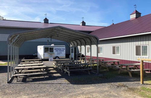 Town of Sempronius Cabine | Green Acres Cabin at Turn Back Time - Reconnect with Nature