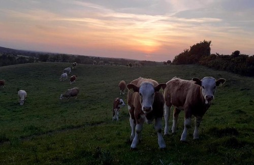 Knockaderry Cross Roads Auberge | Green Adventure EcoHostel