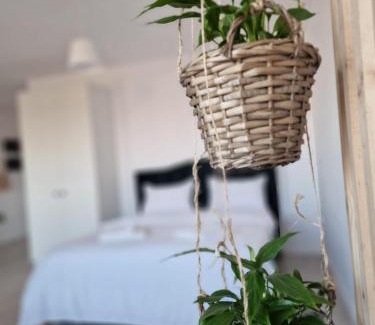 Iasi Appartement | Green Apartment Iasi