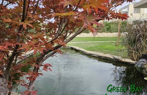 Drepano Maison | Green Bay Arachovitika