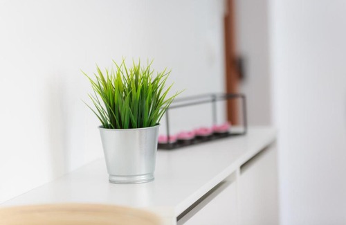 Rijeka Appartement | Green Corner ***