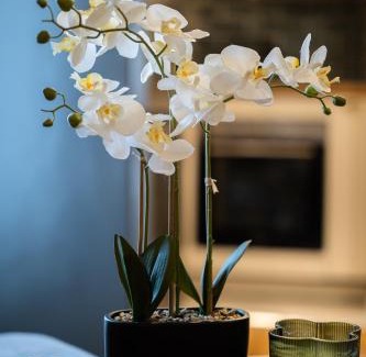 Villiers-sur-Marne Appartement | Green Dream Proximite Paris & Disneyland