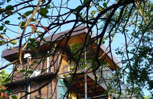 Dambulla Station Balnéaire | Green Earth Resort