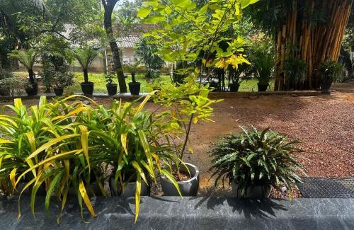 Bandaranayake Appartement | Green Grass Villa