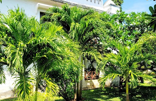 Malindi Appartement | Green Malindi Apartments by RevSerene