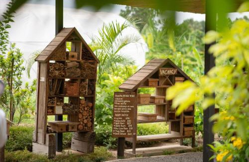 Nong Sarai Lit Et Petit-Déjeuner | Green Me Organic Farm Khao Yai กรีนมี ออแกนิคฟาร์ม เขาใหญ่