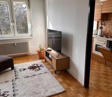 Sudstadt Appartement | Green paradise near Vienna 3 room and balcony