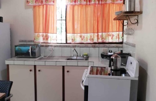 Cahuita Cabine | Studio familial vert