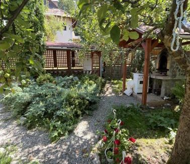 Sovata Maison | Green