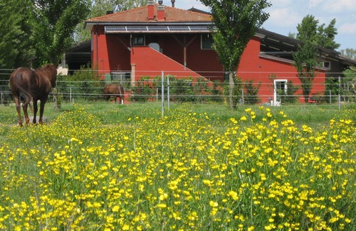 Badia Polesine Maison | Green Room ... nature et détente entre chevaux au pâturage ...