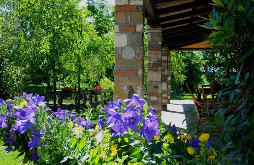 Badia Polesine Maison | Green Room ... nature et détente entre chevaux au pâturage ...