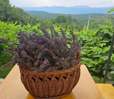 Pricelje Appartement | Green Silence - Vuk