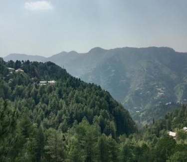 Khokhar Maira Maison | Green view guest house nathiagali by room