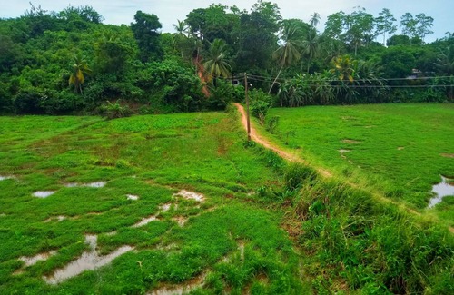 Mirissa Maison | Green View Guest