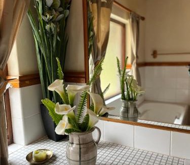 Harkerville Maison | Greenfern Lodge and Chalets