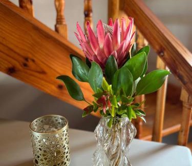 Harkerville Maison | Greenfern Lodge and Chalets