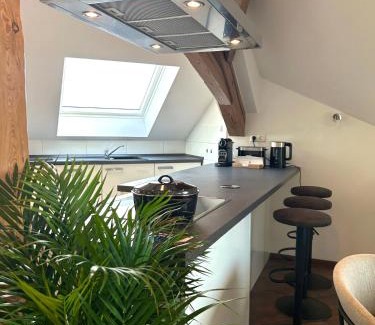 Bamberg Appartement | GreenTreeHomes - Penthouse Willow