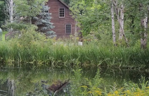 Owego Cabine | Greenwood At Entangled Acres - Log Cabin w\WiFi on 16 Acre Animal Sanctuary