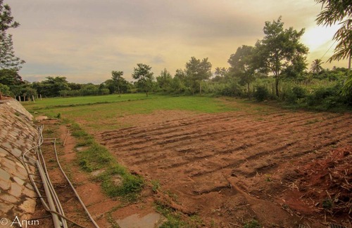 Hosur Maison | Grenville Farm