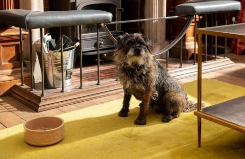 Aldborough Maison | Gresham Hall - Norfolk Cottage Agency