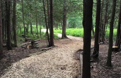 Chatsworth Cabine | Greyridge Glamping "Paradise Island " Retreat