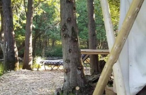 Chatsworth Cabine | Greyridge Glamping "Paradise Island " Retreat