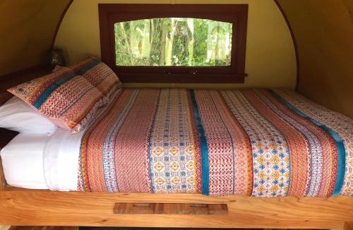 Greytown Station Balnéaire | Greytown Campground