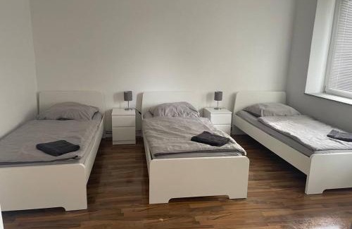 Ottersleben Appartement | Große Wohnung