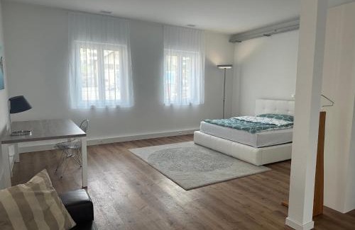 Seengen Appartement | Grosse Einzimmerwohnung/Büro/Showroom