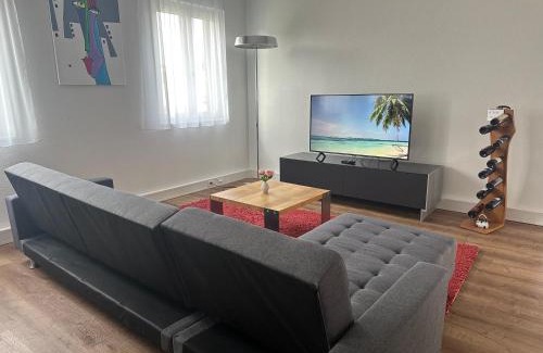 Seengen Appartement | Grosse Einzimmerwohnung/Büro/Showroom