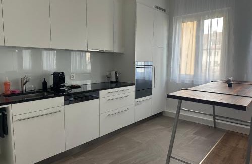 Seengen Appartement | Grosse Einzimmerwohnung/Büro/Showroom