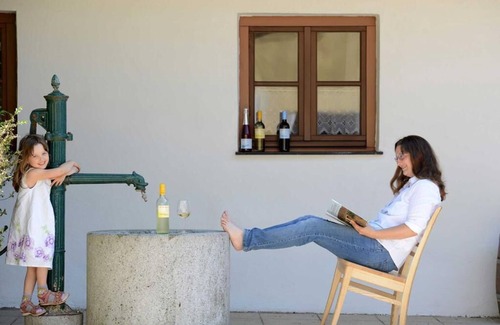 Weitersfeld Appartement | Ground floor/barrier-free vacation apartment with cozy Swedish stove
