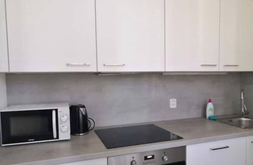 Karlin Appartement | Group family apartment near Florenc walk to center
