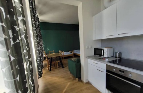 Karlin Appartement | Group family apartment near Florenc walk to center