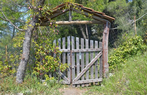 Milies Cottage | Grove Cottage Pelion