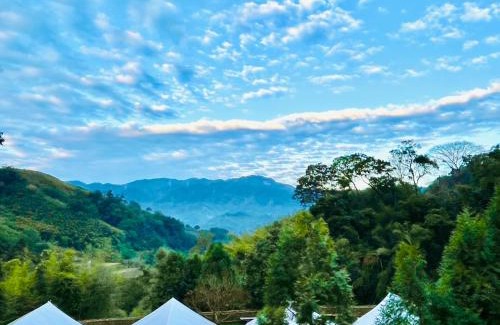 Dahu Autre | Grow Tree Glamping