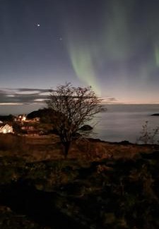 Torsken Maison | Gryllefjord
