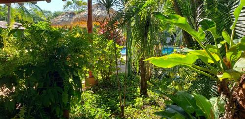Junquillal Cabine | Guacamaya Lodge
