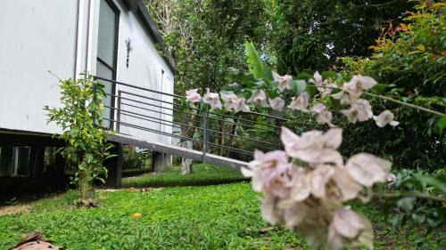 Moniquira Autre | Guadalajara Glamping