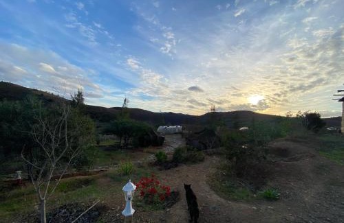 Bir Ennasar Maison | Guest farm Oulad Chmicha
