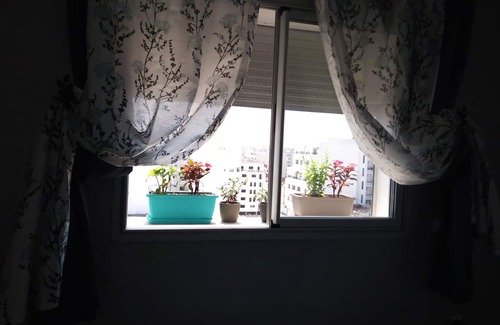 Quartier Des Mimosas Appartement | Guest house belle vue