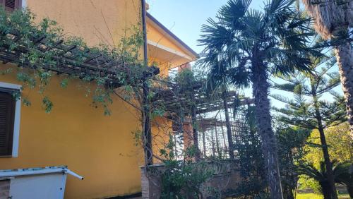 Miglierina Maison | Guest House Franco