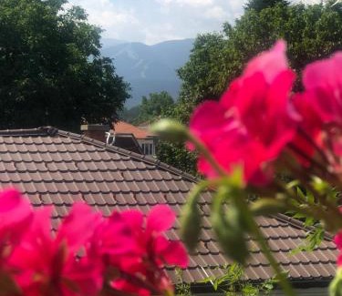 Samokov Maison | Guest house Legeto