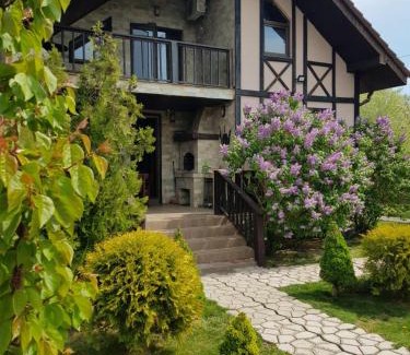 Vylkove Chalet De Ski | Guest House on Lesnaya