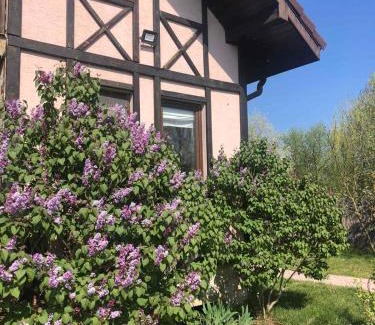 Vylkove Chalet De Ski | Guest House on Lesnaya